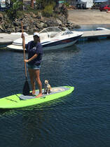 Woman and dog on a stand up paddle board